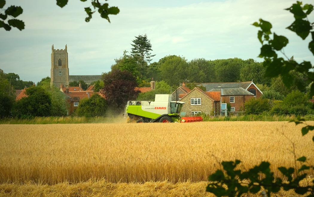 gtmassingham-gallery-_0002_Layer 10